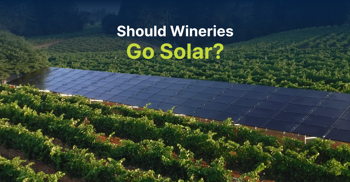 Should Wineries Go Solar_