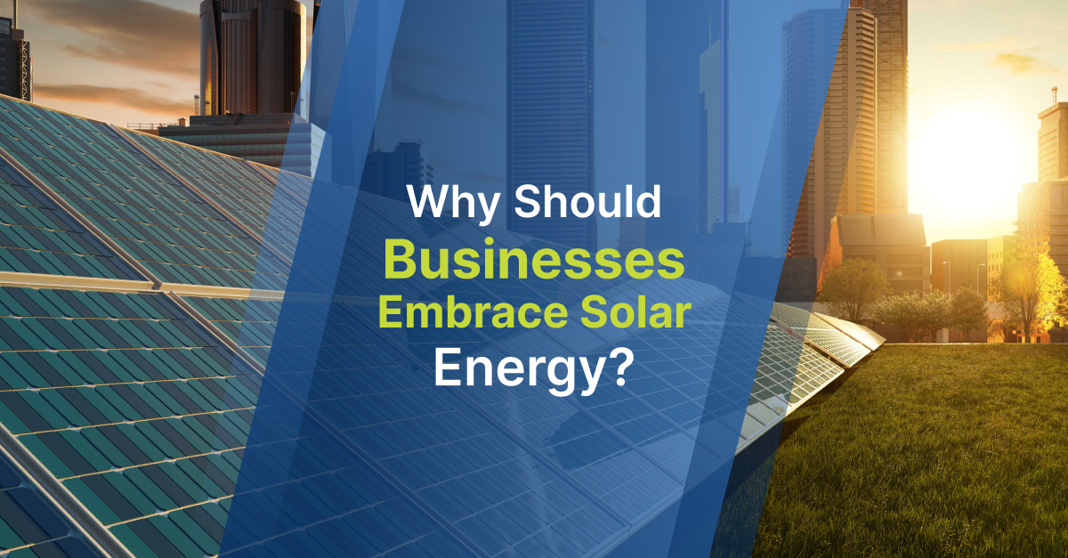 Why Should Businesses Embrace Solar Energy