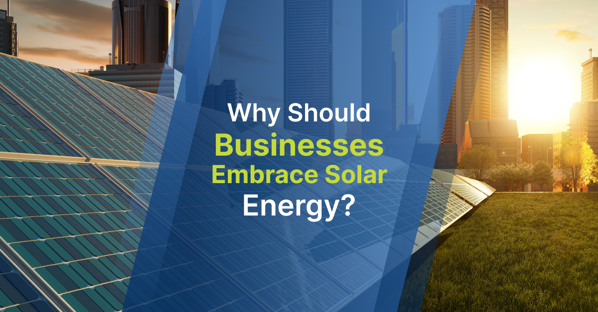 Why Should Businesses Embrace Solar Energy?